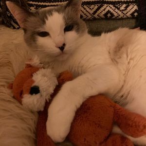 Meet your Posher, Delfina